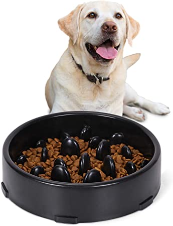 JASGOOD Slow Feeder Dog Bowl New Arriving Fun Feeder Slow Feeding Interactive Bloat Stop Dog Bowls