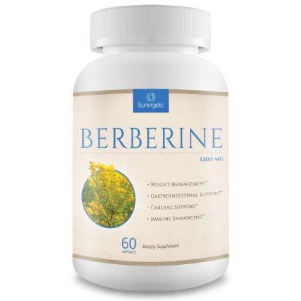 Premium Berberine Supplement -1200 mg Per Serving - Berberine HCL Extract Helps Support Healthy Blood Sugar Levels Digestion and Immunity - 60 Vegetarian Capsules