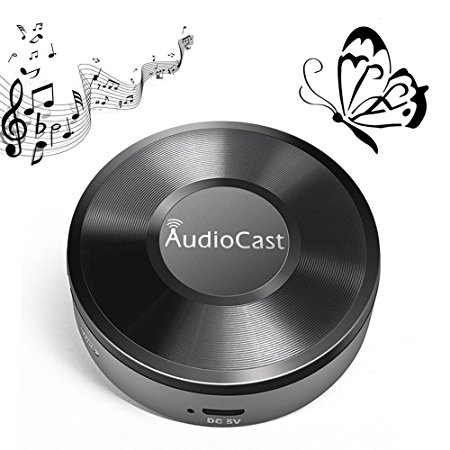 ANEWISH Wifi Audio Receiver Wireless Multi room Music Streamer Airplay DLNA HI-FI Stereo Music Receiver Home Audio Music Streaming Receiver Work with Phone PC