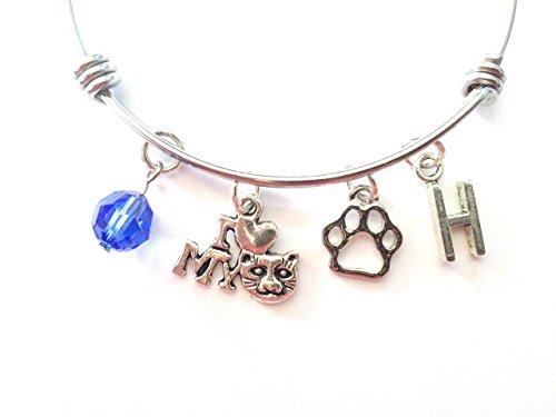 Cat lover themed personalized bangle bracelet. Antique silver charms and a genuine Swarovski birthstone colored element.