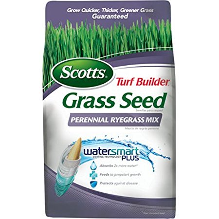 Scotts Turf Builder Grass Seed - Perennial Ryegrass Mix, 3-Pound (Not Sold in Louisiana)