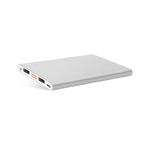 Polanfo 12000mAh Power Bank Universal Ultra Compact External Battery for Smartphone & Tablets-Silver