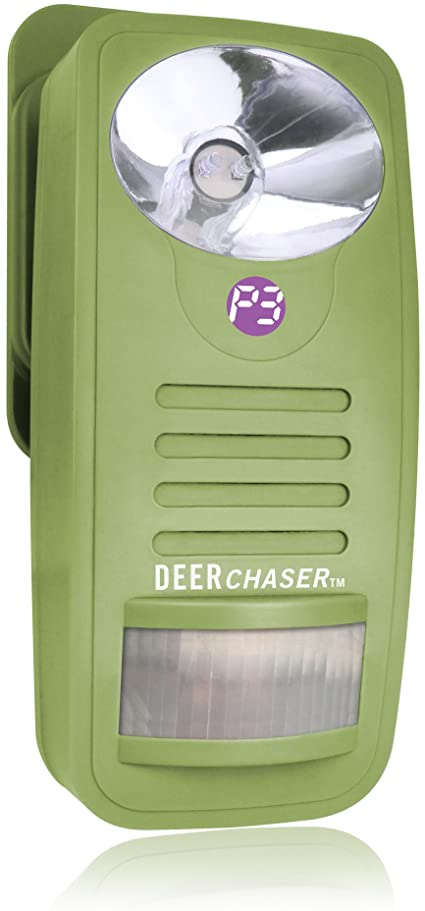 Deer Chaser (P7840) -