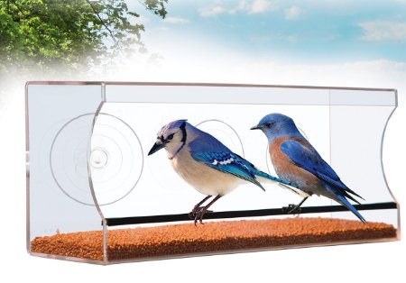 SeeNature Large & Clear Window Bird Feeder - for Birds lovers! Lovely gift to get closer to Nature. With Drain Holes. Effortless Install. Squirrel proof. Heavy Duty Suction Cups.FREE BONUS for buyers.