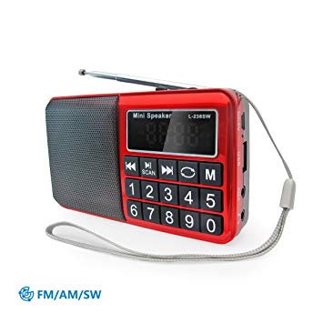 PRUNUS Portable Radio SW/FM/AM(MW)/MP3/USB/SD/TF Rechargeable with Neodymium Speaker. Large Button and large Display. Stores Stations Automatically. (NO MANUAL MEMORY/DELETE STATIONS FUNCTION)