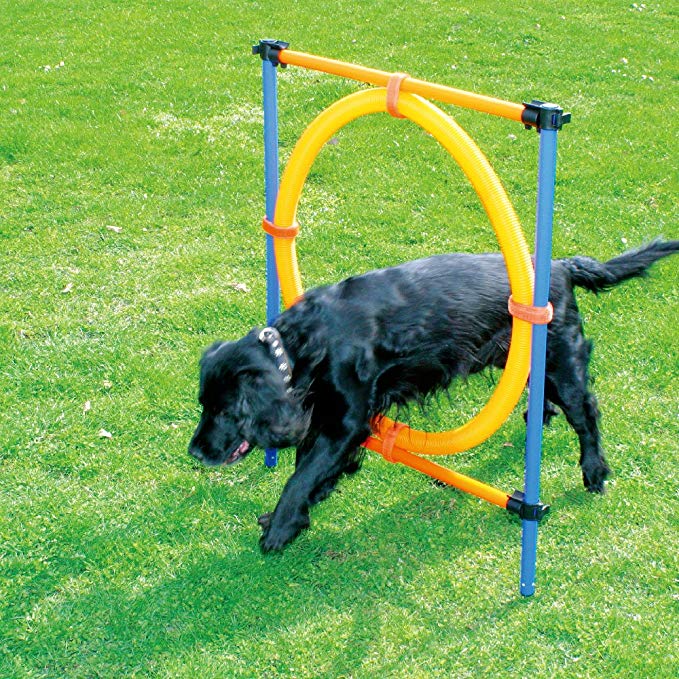 Pet Dogs Outdoor Games Agility Exercise Training Equipment Agility Starter Kit Jump Hoop Hurdle Bar