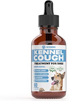 Kennel Cough Treatment for Dogs | Dog Cough Suppressant | Dog Cough | Dog Allergy Relief | Dog Itch Relief | Dog Allergy Support | Bacon Flavor (1 Pack: 60 Servings)