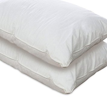 European Comfort 100% Hypoallergenic Slumber Down Alternative Pillows, QUEEN (Set of 2)