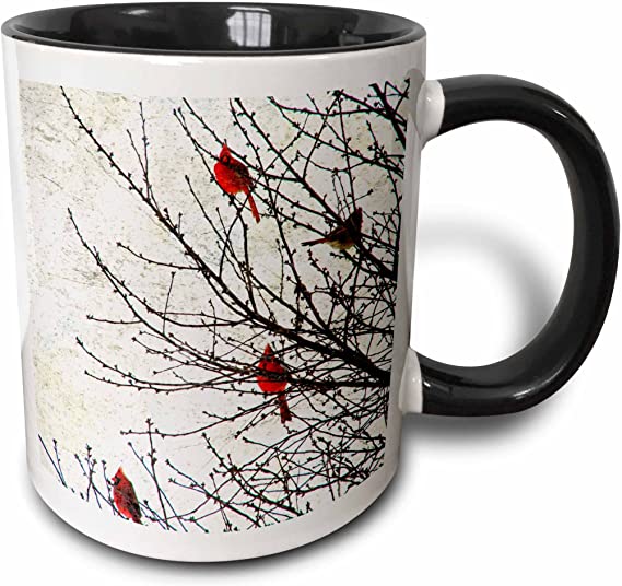 3dRose Cardinals Photographed by Angelandspot-Two Tone Black Mug, 1 Count (Pack of 1), Multicolored