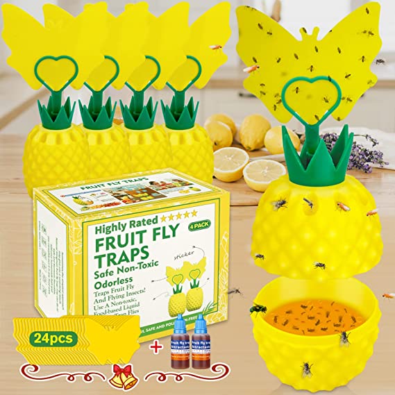 Fruit Fly Trap with Sticky Pads,Gnat Trap with 2 Bait for Indoor and Outdoor,Effective Fly Catcher Gnat Trap Killer ,Sticky Gnat Traps, Non-Toxic and Odorless Fly Trap for Plant/Home/Kitchen(4 Pack)