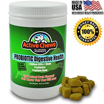 Premium Probiotics for Dogs with Digestive Enzymes for Dogs from Active Chews - Relieves Dog Diarrhea Upset Stomach Bad Breath Hot Spots for Dogs - 120 Chews with 4 Bill CFUs / 2 Chews