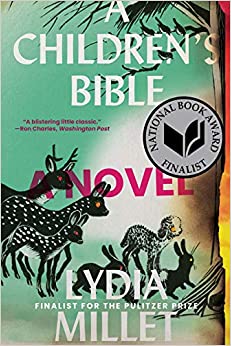 A Children's Bible: A Novel