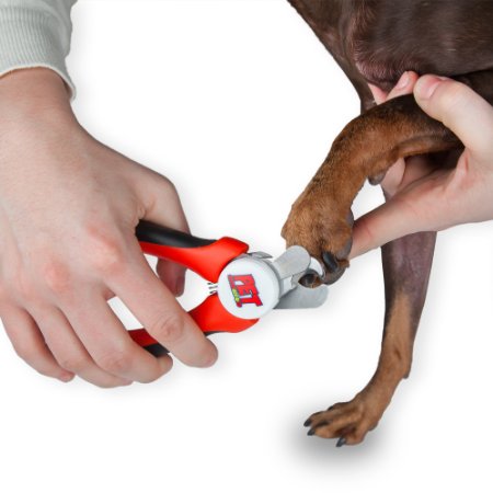 Pet SuperHeroes Best Professional Pet Nail Clippers Safely Trim Dog Nails and - Ideal for Small and Large Dogs Puppies - Stainless Steel Trimmer Blade - Professional Clippers