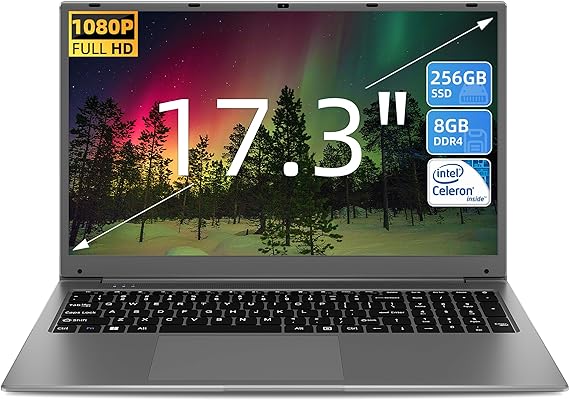 SGIN Laptop 17 Inch, 8GB RAM 256GB SSD Laptop Windows 11, Computer with IPS FHD 1080p Display, Intel Celeron Quad Core J4105 Notebook, 2.4G/5GHz WiFi, BT4.2, Type-C, USB3.0 * 2, 8000mAh Battery