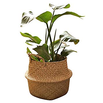 RISEON Natural Seagrass Belly Basket Panier Storage Plant Pot Collapsible Nursery Laundry Tote Bag with Handles (11" (27x24cm))