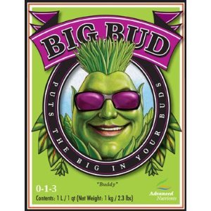 Big Bud 500 gram