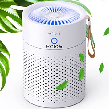 Air Purifier for Bedroom, KOIOS H13 True HEPA Filter Air Purifiers for Desktop Office Car Pets with USB Cable, Small Air Cleaner, Night Light, Timer, Remove Smoke, Dust, Odors, Pollen