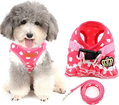 Ranphy Pet Puppy Comfort Padded No Pull Dog Harness Harness Vest for Small Dog/Cat Dog Harness and Leash Set Pink S