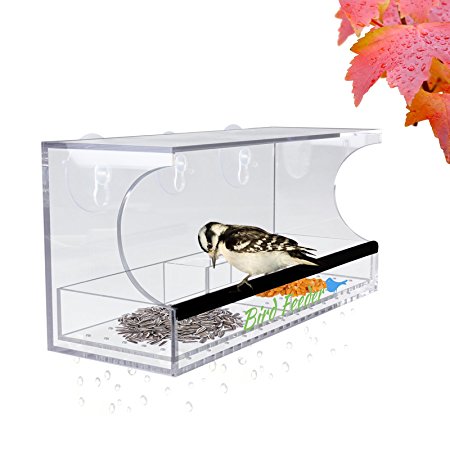 Bird Feeder, Aquiver Clear Acrylic with Removable Tray Drain Holes and Water Trough for watching Birds Close-Up From Inside Your Home