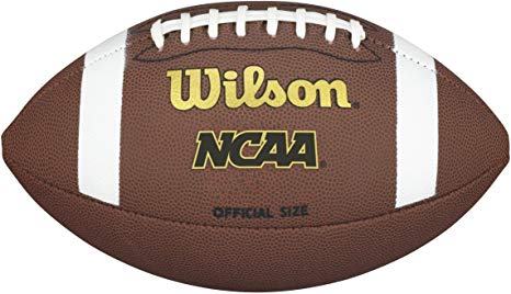 Wilson NCAA Composite Football