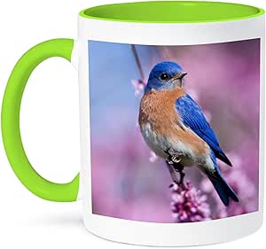 3dRose Eastern Bluebird Male in Illinois, USA, Mug, 11 oz, Green/White