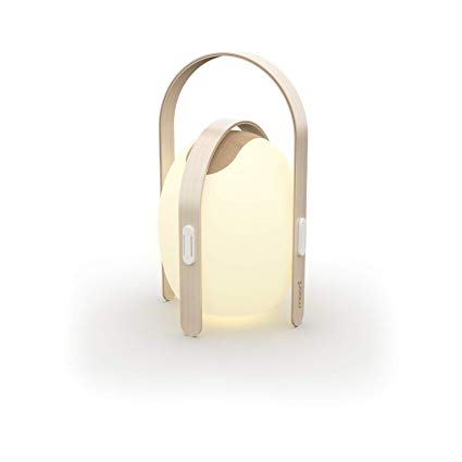 Mooni Koble Designed OVO Mini Speaker Color Changing LED Lantern with 10W Bluetooth Speaker