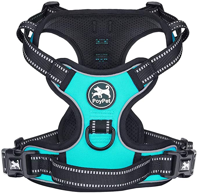 PoyPet No Pull Dog Harness, Reflective Vest Harness with 2 Leash Attachments and Easy Control Handle for Small Medium Large Dog(Mint Blue,M)