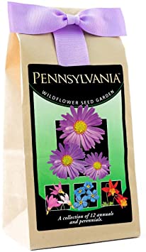 Pennsylvania Wildflower Seed Mix - A Beautiful Collection of Twelve Annuals & Perennials - Enjoy The Natural Beauty of Pennsylvania Flowers in Your Own Home Garden