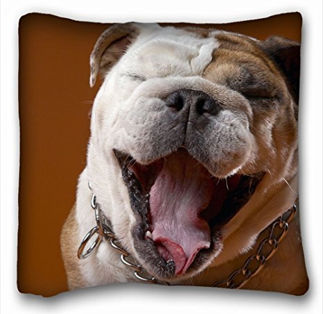 Decorative Square Throw Pillow Case Animals dog face s eyes bulldog 18"*18" Two Side