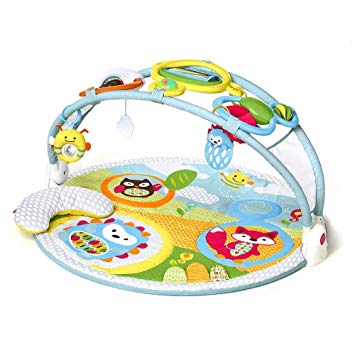 Skip Hop Explore & More Activity Gym