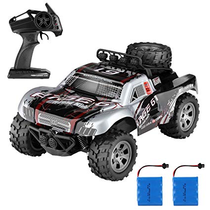Remote Control Car, 1:18 Scale RC Car Off Road Vehicle Toy 2WD 2.4Ghz Radio Control Buggy Monster Truck with 2 Rechargeable Batteries