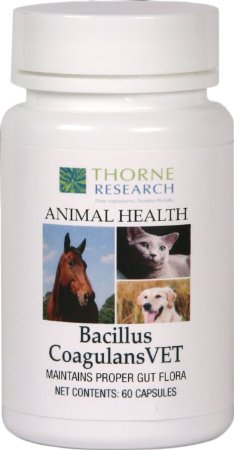 Thorne Research Veterinary - Bacillus CoagulansVET - Helps Maintain Proper Gut Flora - 60 Capsules