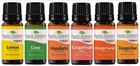 Plant Therapy Essential Oils Fruits Set | Grapefruit, Tangerine, Lemon, Mandarin, Lime, Orange Sweet In A Wooden Box | 100% Pure, Undiluted, Natural Aromatherapy, Therapeutic Grade | 10 mL (⅓ oz)