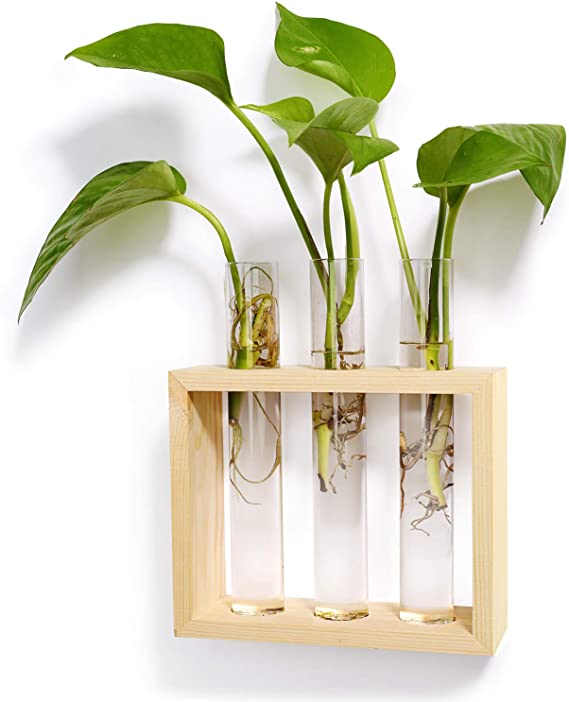 Mkono Wall Hanging Test Tube Planter Modern Flower Bud Vase with Wood Stand Tabletop Glass Terrarium for Propagating Hydroponics Plants, Home Office Decoration