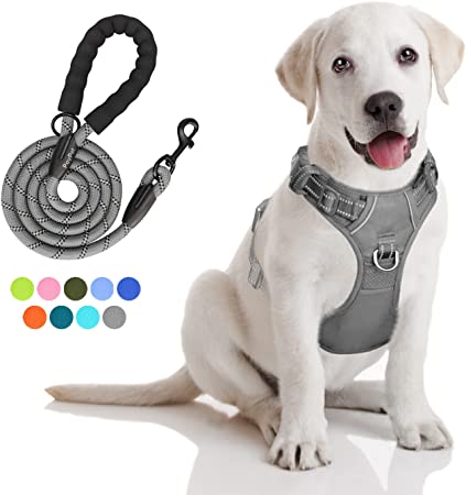 PoyPet Dog Harness and Leash Combo, Escape Proof No Pull Vest Harness, Reflective Adjustable Soft Padded Pet Harness with Handle for Small to Large Dogs