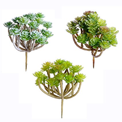 Supla 3 Pcs Assorted Green Artificial Succulent Cactus Echeveria Plants Unpotted Faux Succulent Cactus Desert Plants Flower Foliage for Succulents Wreath Floral Arrangement