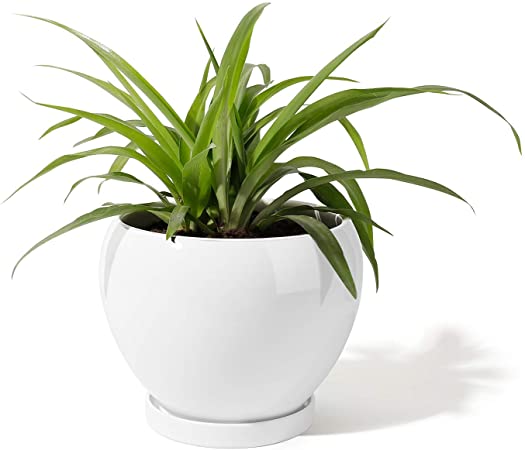 POTEY 052401 Ceramic Plant Pot Planter - Planter for Indoor Plants Flower Succulent with Drainage Hole & Saucer (Large - 6.7 Inches, White)