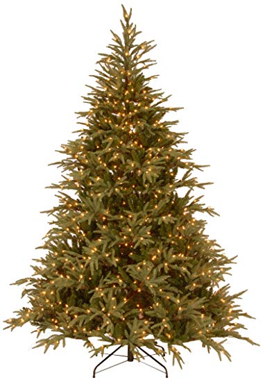 National Tree 7.5 ft. Frasier Grande Tree with Dual Color LED Lights