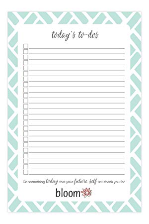 bloom daily planners Today's To-Dos Tear Off To Do Pad - Mint Daily Planning To Do Pad - 6" x 9"