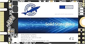 Dogfish SSD M.2 2242 2TB Ngff Ordinateurs De Bureau à l'intérieur De l'actionneur à SolideDe Haute Performance De Lecteur De Disque Dur Comprend Un SSD 120Go 240Go 250Go 480Go 500Go(2TB, M.2 2242)