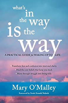 What's in the Way Is the Way: A Practical Guide for Waking Up to Life
