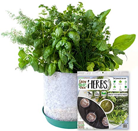 Grow Your Own Herbs Partial Kit - AS SEEN ON Shark Tank - Fast-Growing Organic NonGMO Recipe Garden Kit