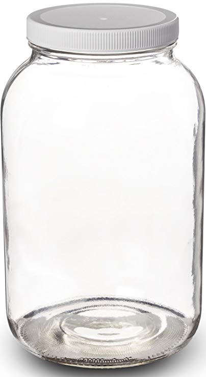 Paksh Novelty 1-Gallon Glass Jar Wide Mouth with Airtight Plastic Lid - USDA Approved BPA-Free Dishwasher Safe Mason Jar for Fermenting, Kombucha, Kefir, Storing and Canning Uses, Clear