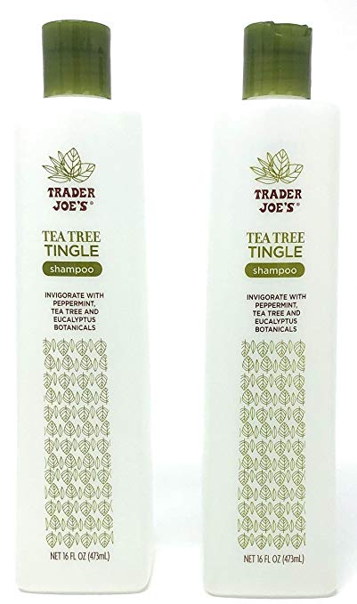 Trader Joe's Tea Tree Tingle Shampoo with Peppermint, Tea Tree and Eucalyptus Botanicals (Pack of 2)
