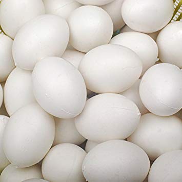 10pcs Solid Plastic Eggs Dummy Eggs For pigeons white
