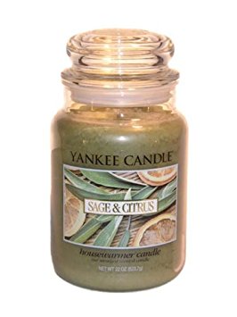 Yankee Candle Company Sage & Citrus Large Jar Candle