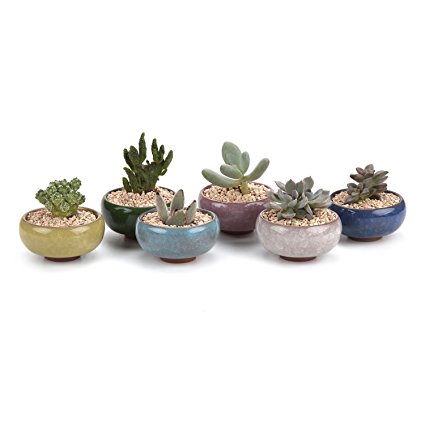 T4U 2.5 Inch Ceramic Ice Crack Zisha Serial succulent Plant Pot/Cactus Plant Pot Flower Pot/Container/Planter Full colors Package 1 Pack of 6