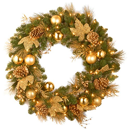 National Tree 24 Inch Decorative Collection Elegance Wreath with 50 Battery Operated Warm White LED Lights (DC13-109-24W/B)