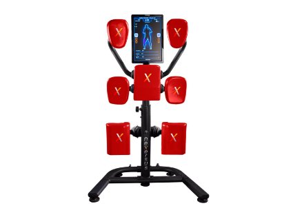 Nexersys boxing training system hot sale