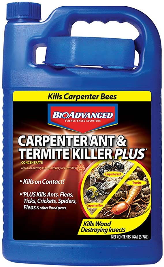 Bayer Advanced 700315 Carpenter Ant and Termite Killer Plus Concentrate, 1-Gallon